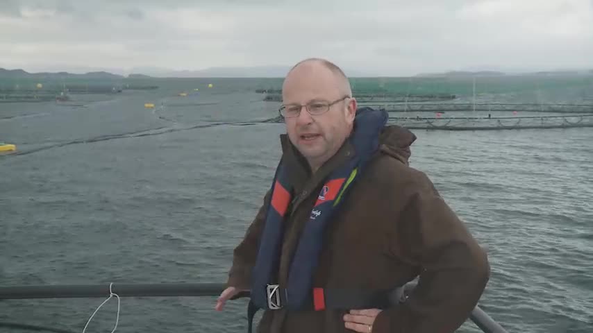 Øivind Bergh